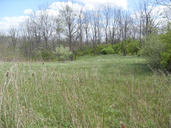 Land Auction - 113.11 Acres, Potential Building Site, Wildlife & Recreation, Development Potential